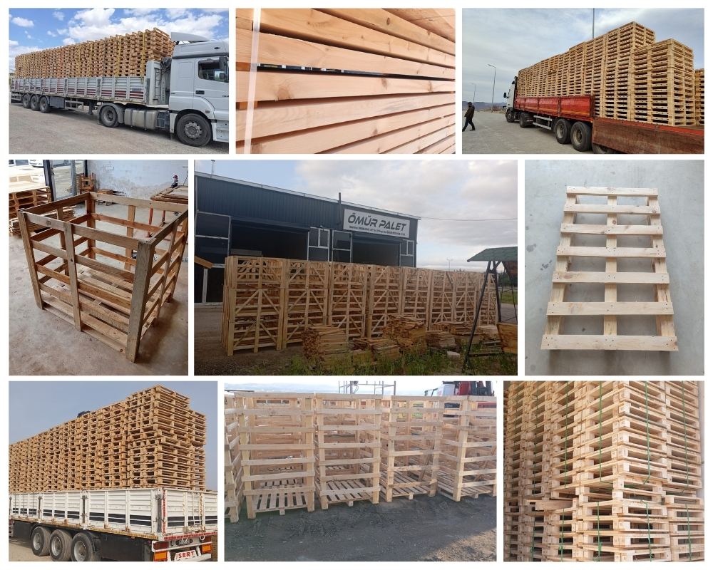 Tournai Houten Kisten, Europallets Groothandel Kopen